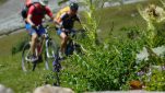 MTB-Tour König Ortler