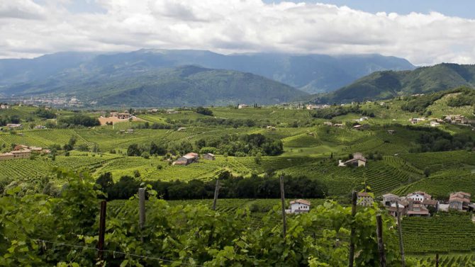 Valdobbiadene - Genuss-Biketour
