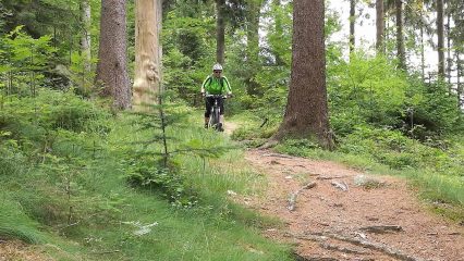 Leichter Trail bergab