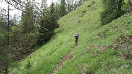 Einsame Trails