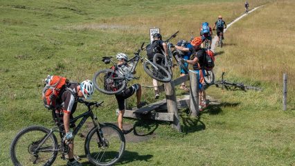 Hindernisse gemeinsam überwinden