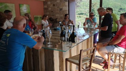 Prosecco - Degustation