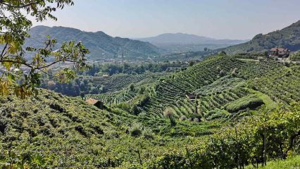 Das Valdobbiadene – eine beeindruckende Region