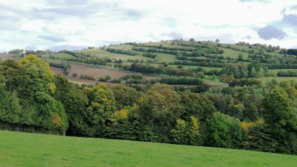 Herrliche Landschaften