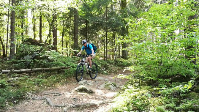 Unterwegs mit dem MTB auf einem leichten Trail