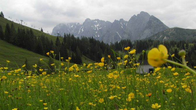 Mountainbike-Tour: Dachsteinrunde