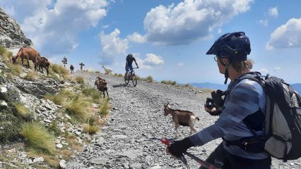 Von der Po-Ebene an die Riviera mit MTB Guide&Tech