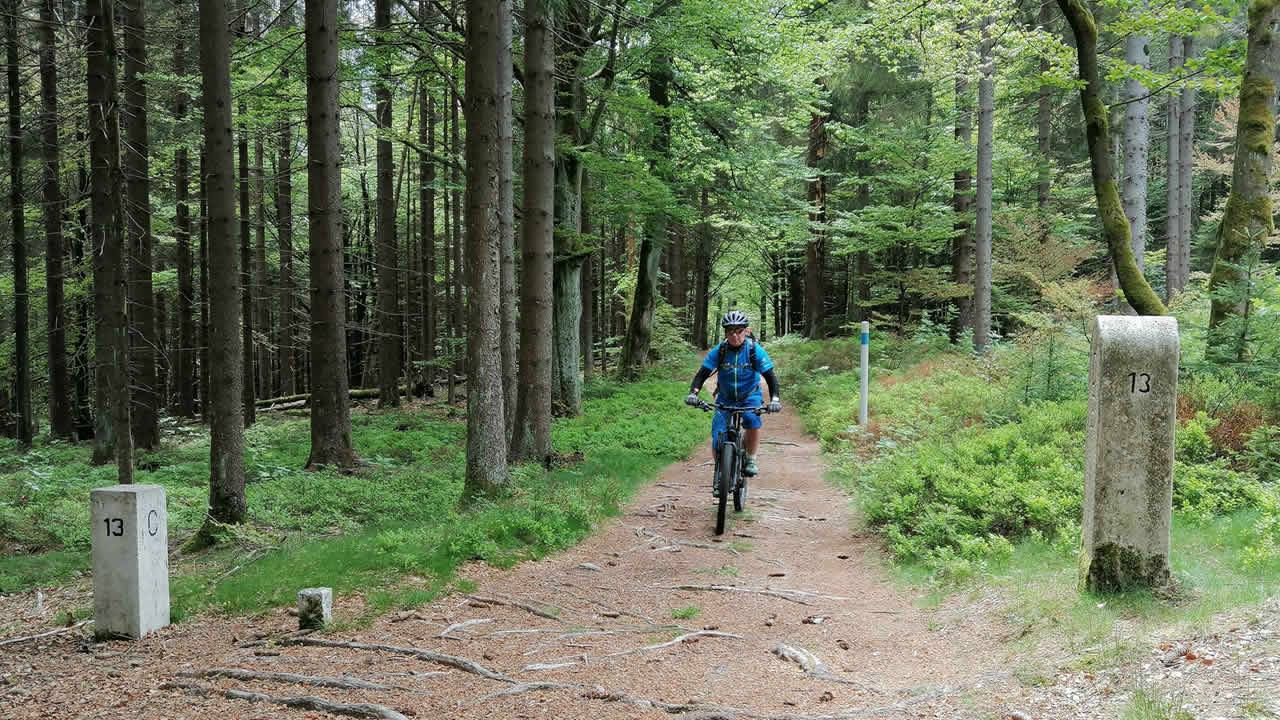 Mountainbike-Tour: Oberpfälzer Wald Runde