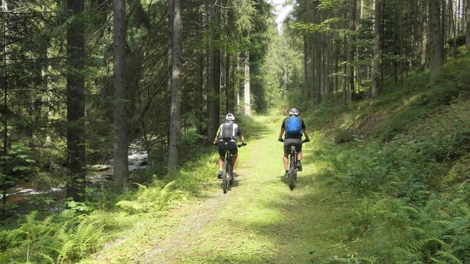 Mountainbike-Tour: Trans Bayerwald von Furth im Wald nach Passau