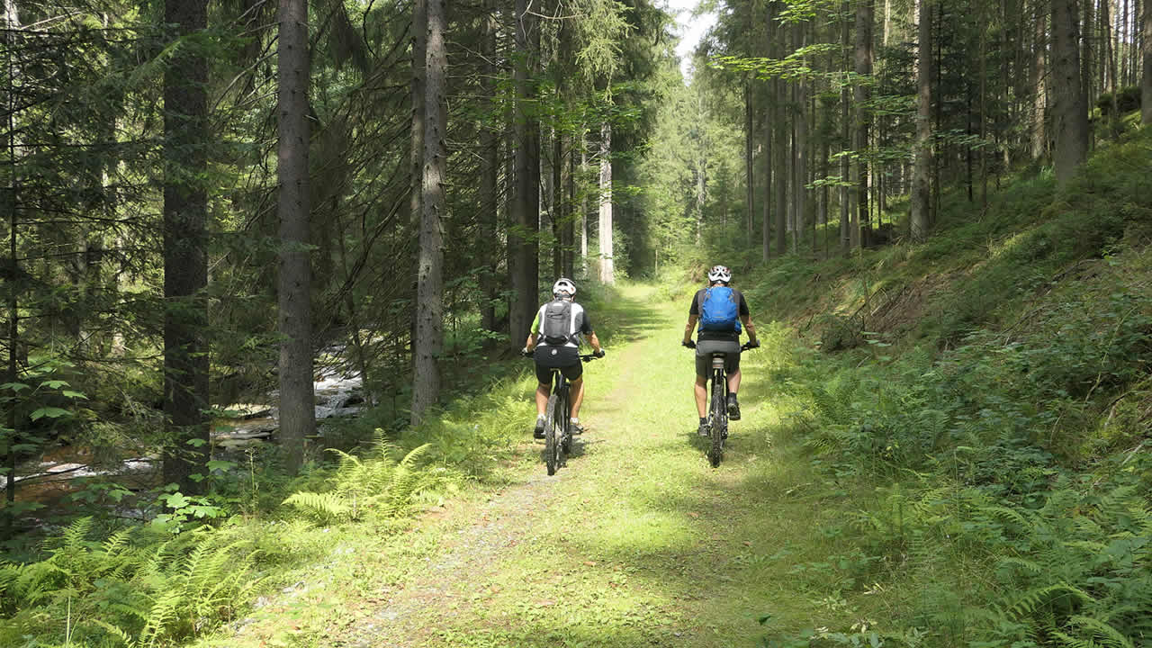 Mountainbike-Tour: Trans Bayerwald von Furth im Wald nach Passau