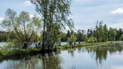 MTB Oberpfälzer Wald