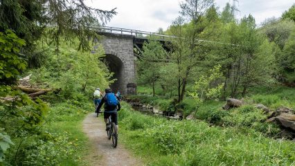 MTB Oberpfälzer Wald