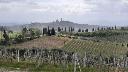 Mountainbike und Kultur in der Toskana