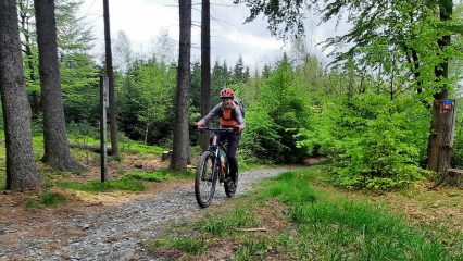 MTB Fahrtechnik-Wochenende Basic