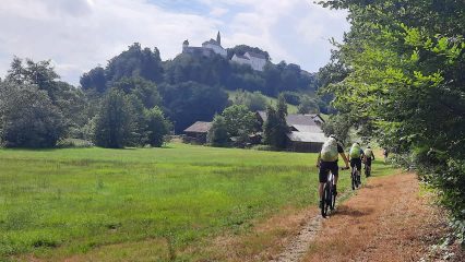 Mit dem MTB auf der Trans Bayerwald Südroute