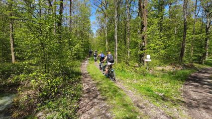 Unterwegs auf dem Panoramaweg Steigerwald