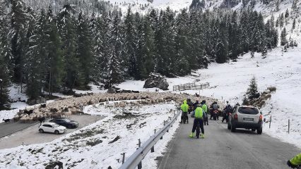 Mit dem MTB auf dem Giro speciale delle Dolomiti
