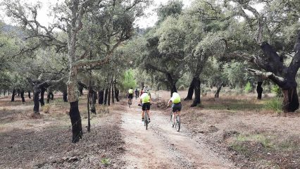 Mit dem MTB von der Costa Vicentina an die Algarve