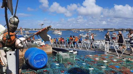 Mit dem MTB von der Costa Vicentina an die Algarve