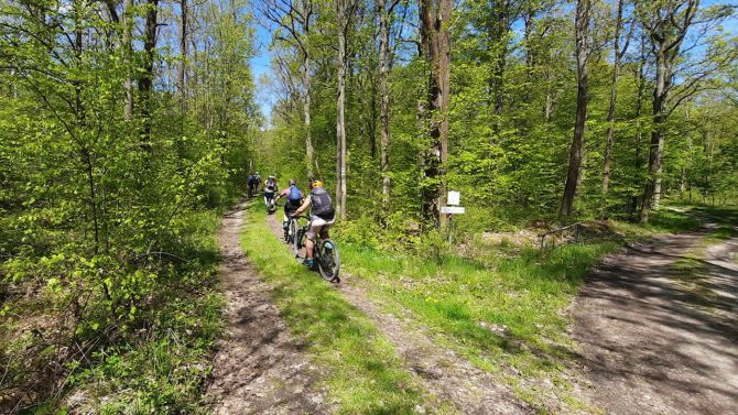 MTB-Tour: Mountainbikepark Pfälzerwald MTB-Tour: Mountainbikepark Pfälzerwald