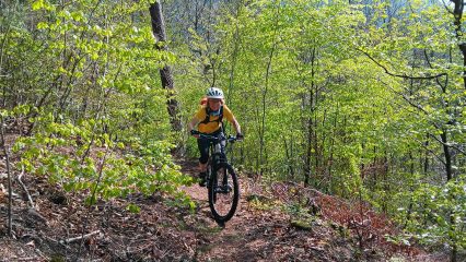 MTB-Toureneinstieg 2025 im Pfälzerwald