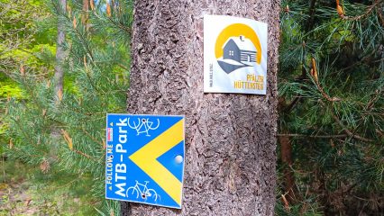 MTB-Toureneinstieg 2025 im Pfälzerwald