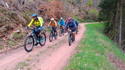 MTB-Toureneinstieg 2025 im Pfälzerwald