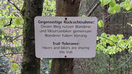 MTB-Toureneinstieg 2025 im Pfälzerwald