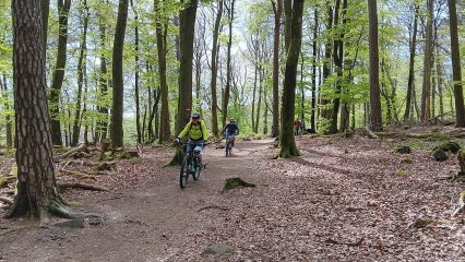MTB-Toureneinstieg 2025 im Pfälzerwald