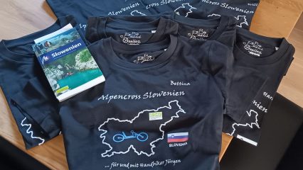 Mit dem Handbike über die Alpen