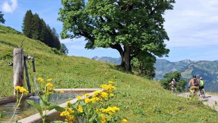 Mountainbiken im Bregenzerwald