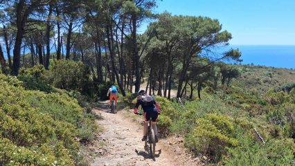 MTB- und Wanderwoche auf Elba